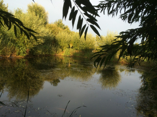 listing-small